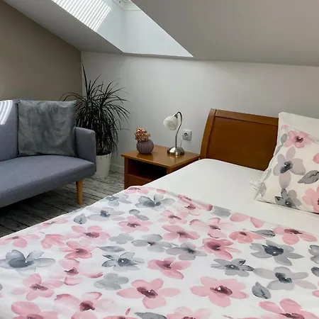 Husova Apartament Podiebrady