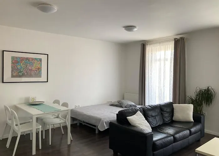 Husova דירה פודבראדי