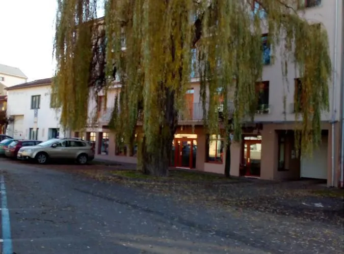 Husova * 波杰布拉迪